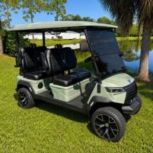 ALSET ASCEND 4 FORWARD GOLF CART (LITHIUM)