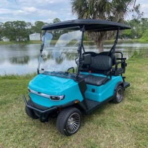 TEKO TURBOLITE LITHIUM GOLF CART (WITH SCREEN & AUDIO)