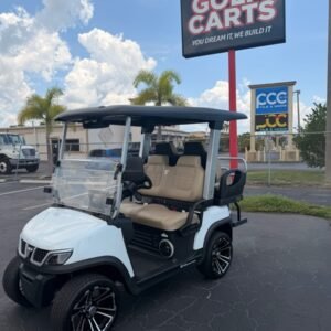 TARA EV CART 2 + 2