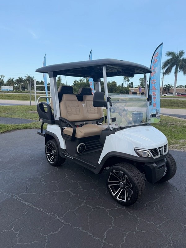 TARA EV CART 2 + 2 - Image 3