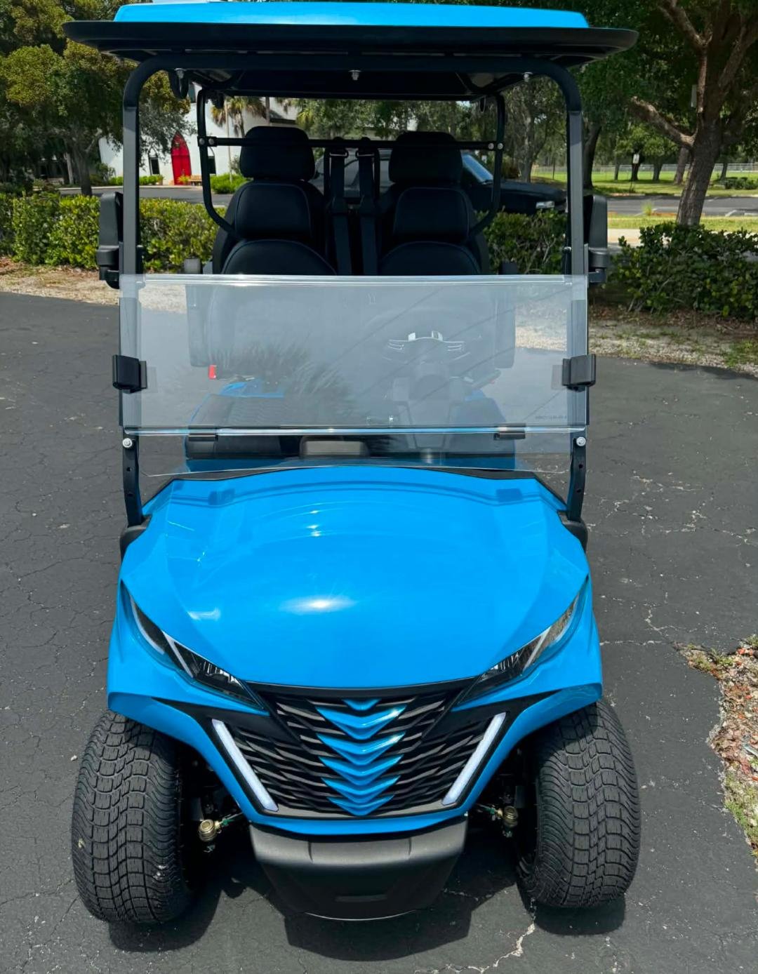 BOCA EV LITHIUM GOLF CART (Colt Lowered) 150 AMP HOUR BATTERY