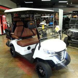 BOCA EV LITHIUM GOLF CART (Colt Lowered)